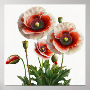 Rote Mohnblumen Blume Art Print Poster