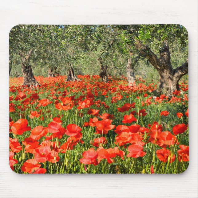 Rote Mohnblumen-Blumen unter alten Olivenbäumen Mousepad (Vorne)