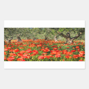 Rote Mohnblumen-Blumen unter alten Olivenbäumen Rechteckiger Aufkleber