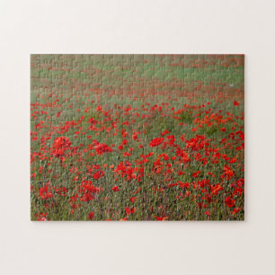 Rote Mohnblumen Herausforderung