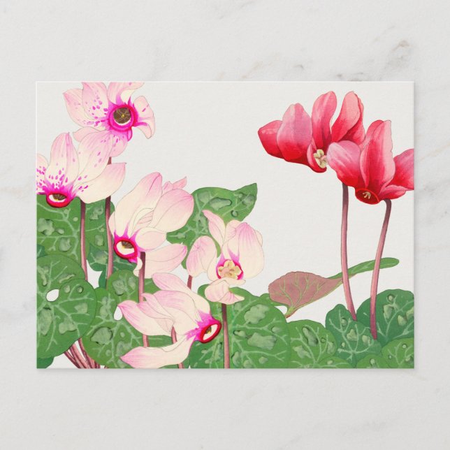 Rote Mohnblumen  Postkarte (Vorderseite)