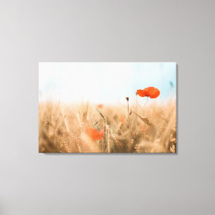 Rote Mohnblumen und Goldgerste Leinwanddruck