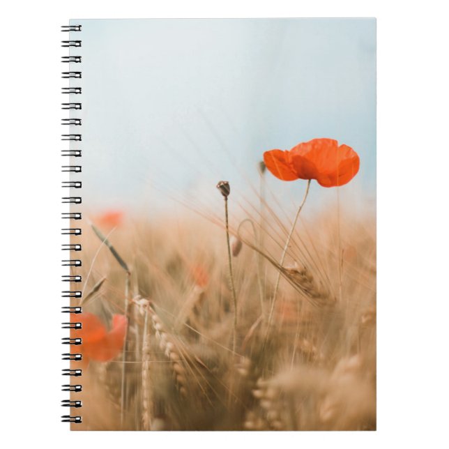 Rote Mohnblumen und Goldgerste Notizblock (Vorderseite)