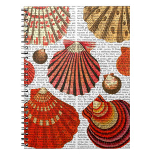 Rote Muschel-Muscheln Notizblock