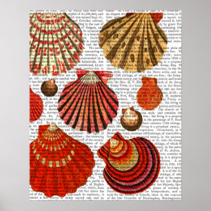 Rote Muschel-Muscheln Poster