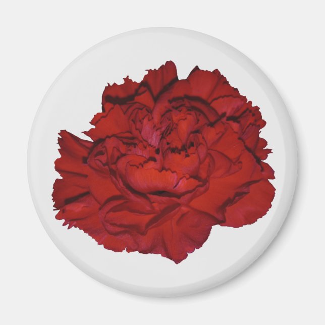 Rote Nelke Magnet (Vorne)