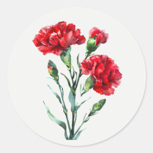 Rote Nelken Gartenblume Blumige Kunst Runder Aufkleber