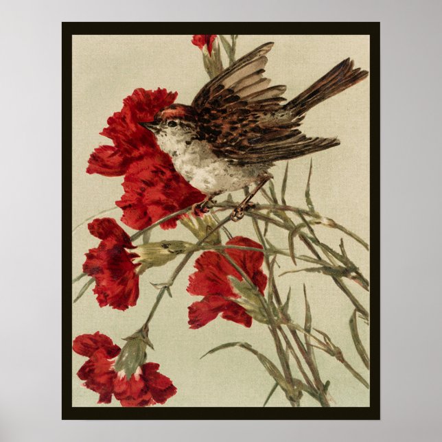Rote Nelken und Songbird-Poster Poster (Vorne)