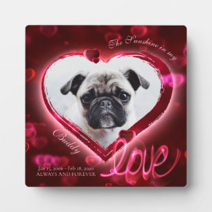 Rote Neon-Herzen und Liebe, individuelles Haustier Fotoplatte