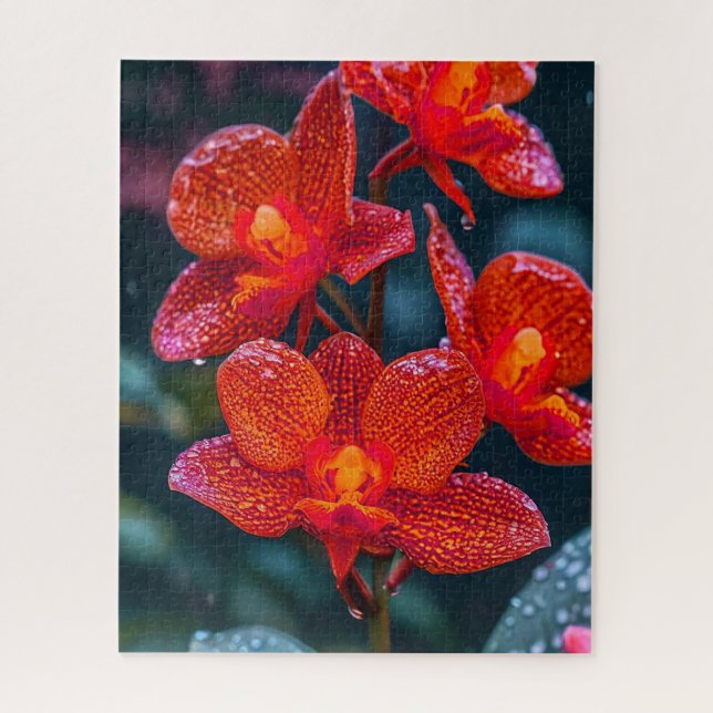Rote Orchid-Blume (Vertikal)