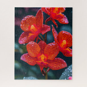 Rote Orchideenblüte