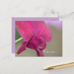 Rote Orchideenblüte Kauai Postkarte
