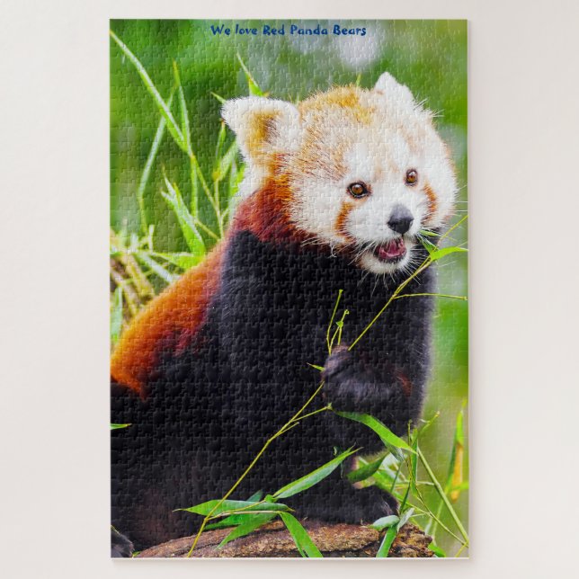 Rote-Panda-Bären. Puzzle (Vertikal)