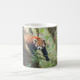 Rote Panda-Tasse Kaffeetasse