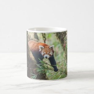 Rote Panda-Tasse Kaffeetasse