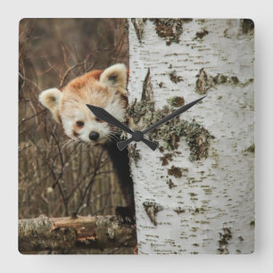 Rote Panda-Uhr Quadratische Wanduhr