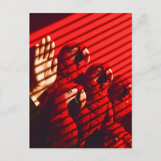 Rote Papageien und eine Hand Postkarte (Vorderseite)