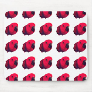 ROTE PARROTS MOUSEPAD