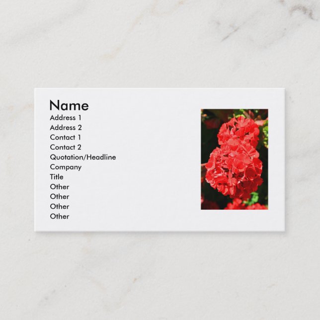 Rote Pelargonie-Blumen-Geschäfts-Karte Visitenkarte (Vorderseite)