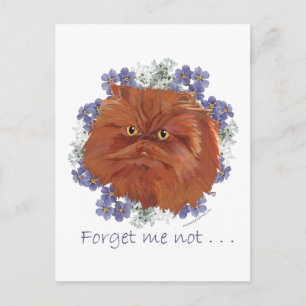 Rote Perserkatze Vergissmeinnicht Postkarte