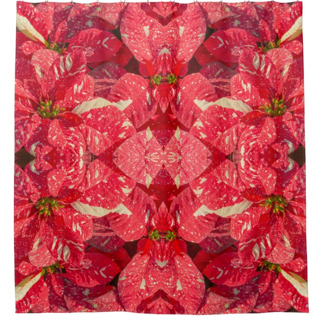 Rote Pflanze Poinsettia Blume Duschvorhang (Vorderseite)