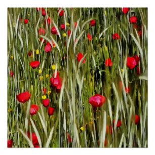 Rote Pflaumen in einem Rollfeld Poster