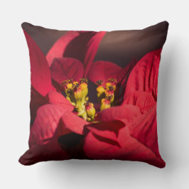 Rote Poinsettia Weihnachtsstern-Blume Kissen