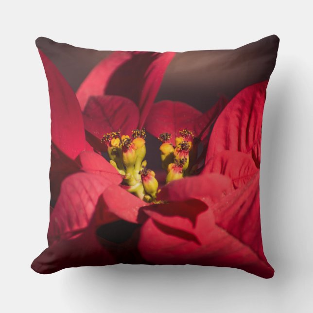 Rote Poinsettia Weihnachtsstern-Blume Kissen (Vorderseite)