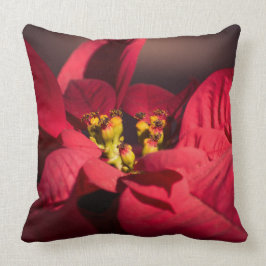 Rote Poinsettia Weihnachtsstern-Blume Kissen
