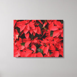 Rote Poinsettien II Weihnachtsfloristik Leinwanddruck
