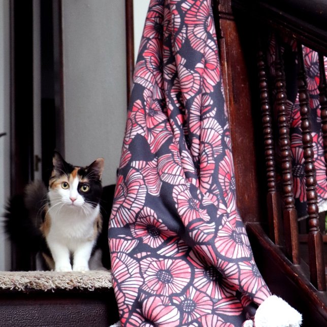 Rote Popies Rote Blume Mohn Blume Sommergarten Sherpadecke (Von Creator hochgeladen)