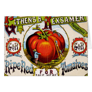 Rote reife Tomaten zu verkaufen - Vintage-Anzeige