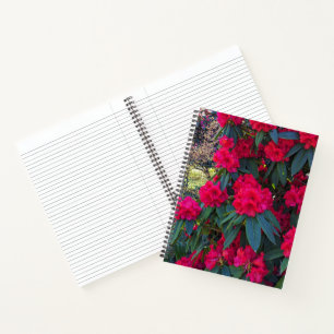 Rote Rhododendron-Blüten Florales Notizbuch