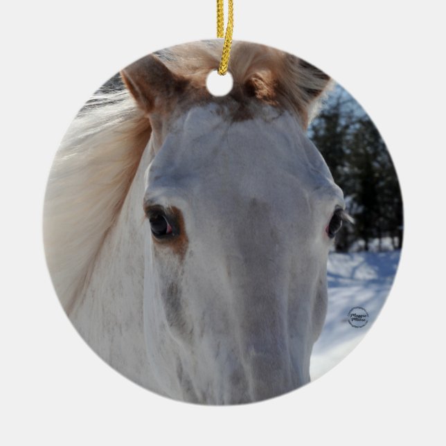 Rote Roan Pferdeaugen Keramikornament (Vorne)