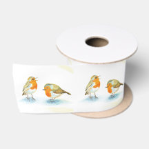 Rote Robins im Winter