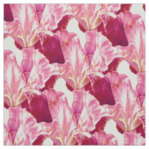 Rote rosa Iris, die botanisches Kunstmuster malt Stoff