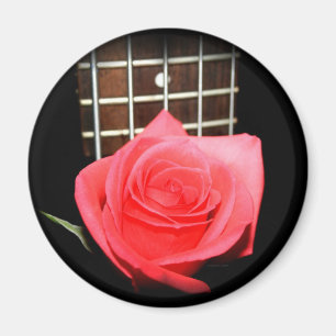 Rote rosa Rose gegen Bass-Gitterwerkbrett der Magnet