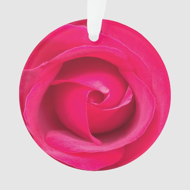 Rote Rosa Rose Ornament (Vorderseite)