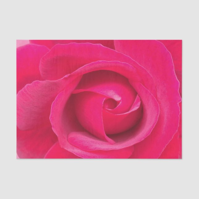Rote Rosa Rose Seidenpapier (Vorderseite)