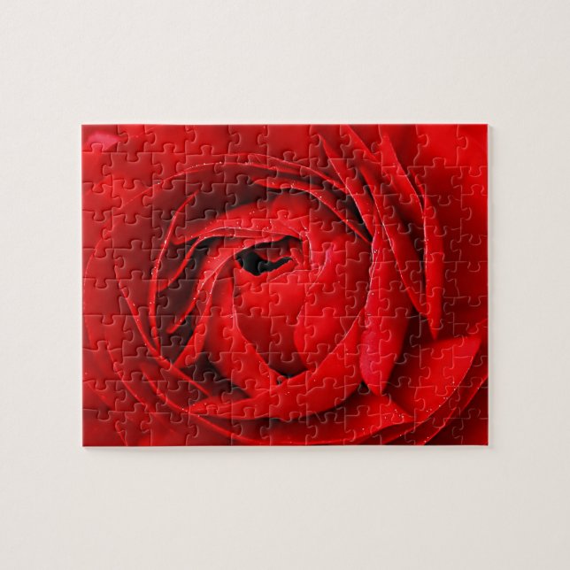 ROTE ROSE (Horizontal)