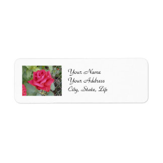 Rote Rose