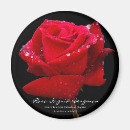 Rote Rose グ ネ  Magnet