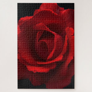 Rote Rose 20x30 1014pc jpcna