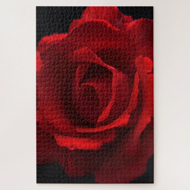 Rote Rose 20x30 1014pc jpcna (Vertikal)