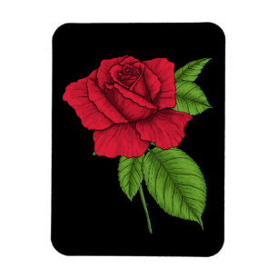 ROTE ROSE 2 MAGNET