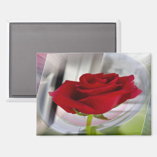 Rote Rose 2 Magnet