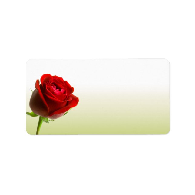Rote Rose-Adressetiketten Adressaufkleber (Vorne)