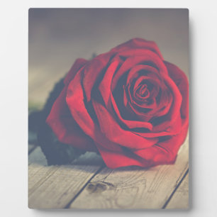 Rote Rose auf Holzböden Kunstdrucken Fotoplatte