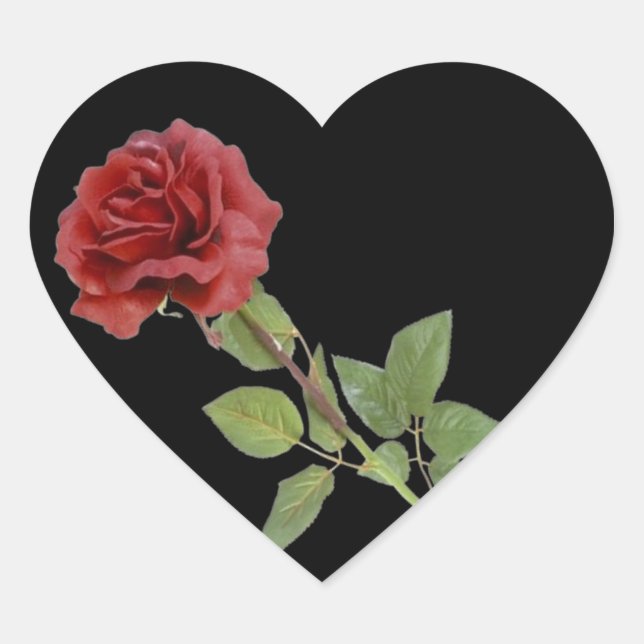 Rote Rose auf Schwarz Herz-Aufkleber (Vorderseite)