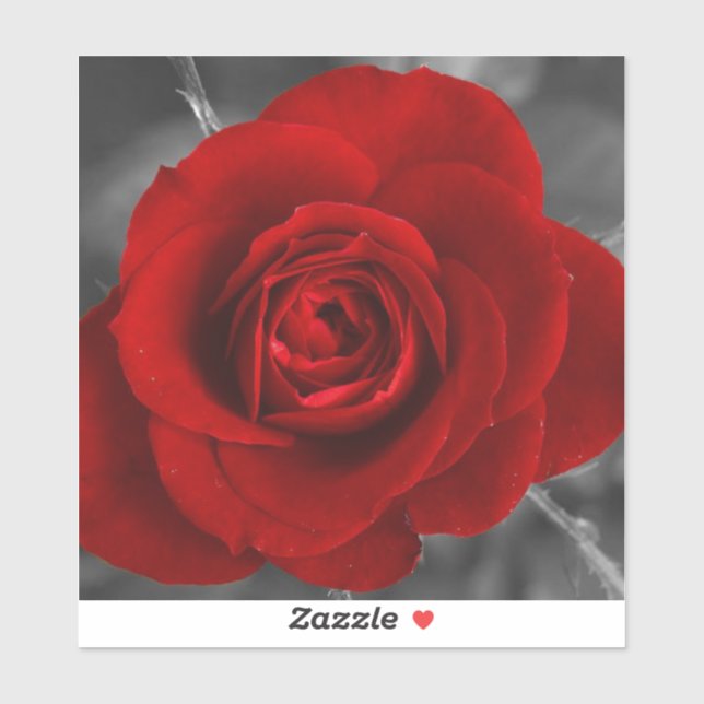 Rote Rose Aufkleber (Blatt)